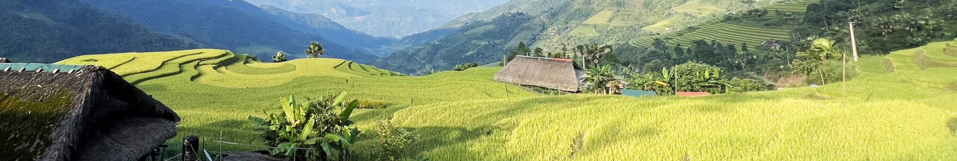 Banner liên hệ